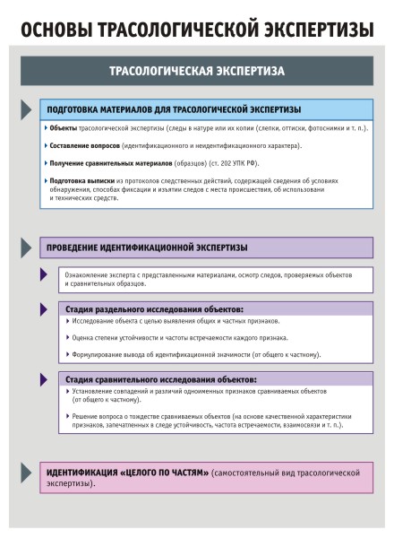 Трасологическая экспертиза вопросы